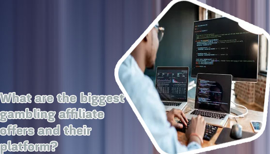 Best gambling services for web development