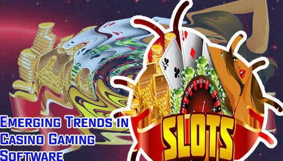 Casino slot software