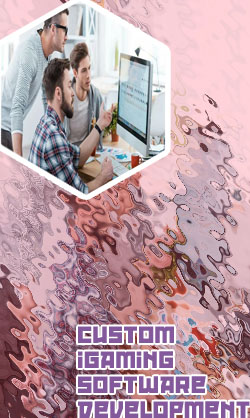 Igaming business private software development