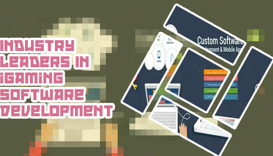 Igaming industry web application development service
