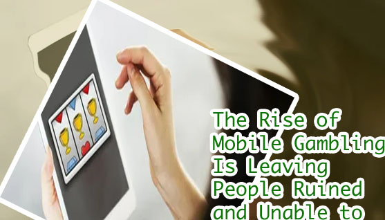 Mobile casino bookie software