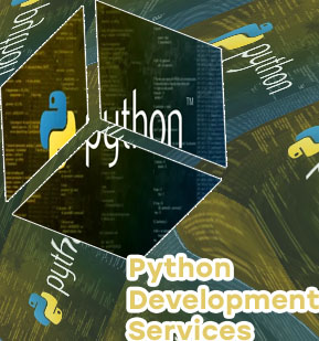 Custom python development services