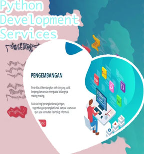 Python application development services