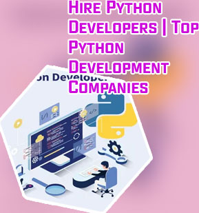Python development agency