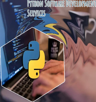 Python development services