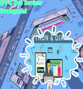 Python web development services